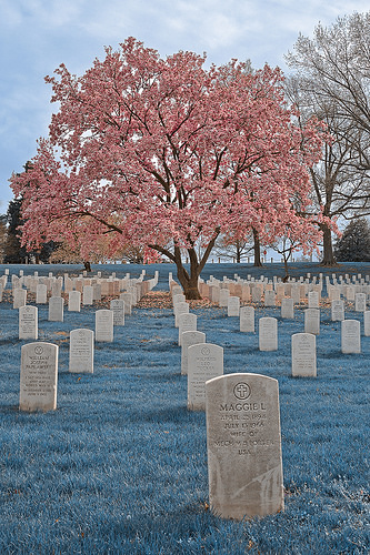 19497274363_d56953ddd0