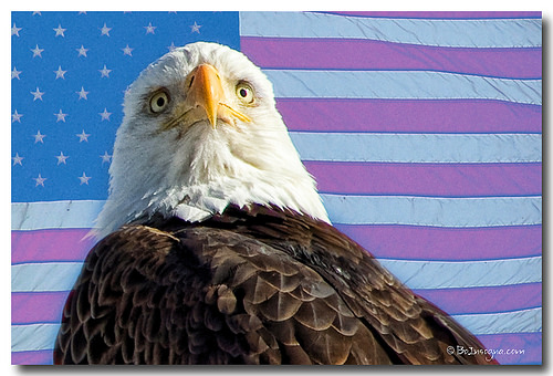 12222501856_908a0b06ce