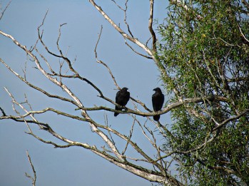 7574515090_ce43e8a3f2