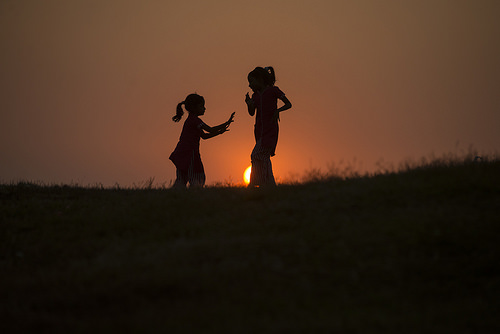 31572084353_d8ff121a37