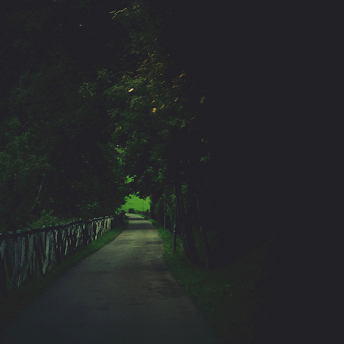 17532986683_ebd77684dc