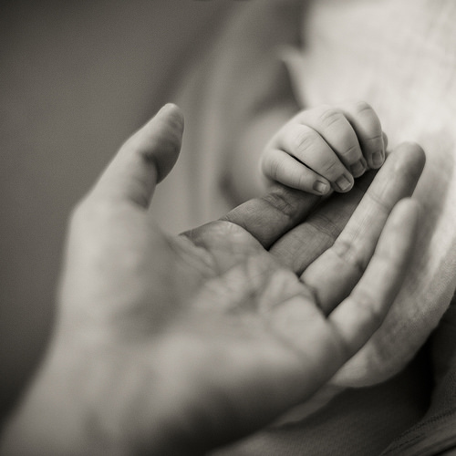 29301521686_1207b2542a