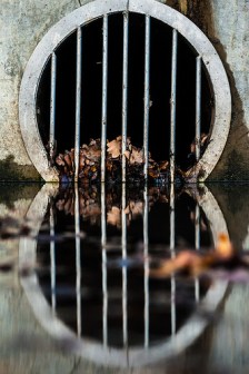 38450951756_eee26aaa51