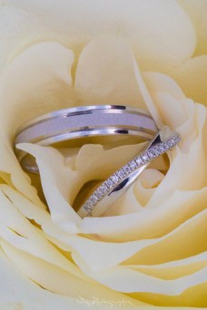 35472363185_49feb58fb0