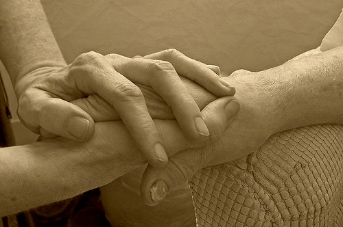 36288083083_4b0ccda65e