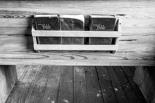 41499901202_2253632977