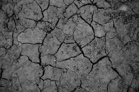 43750782611_56dee8a7d7