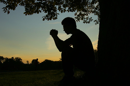 47220426352_bfe8317f21