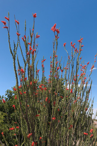 26469212200_3a4c99fee5