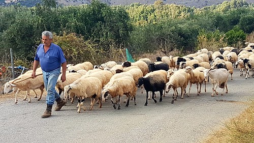 37328923032_6fc7b0f47f