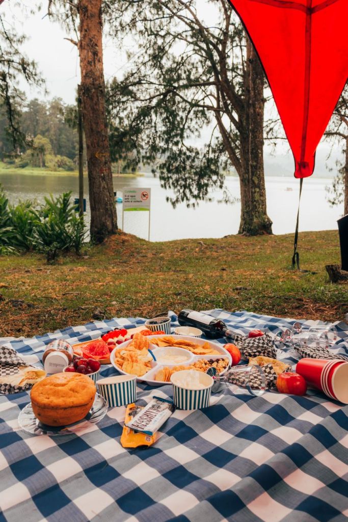 The current image has no alternative text. The file name is: pexels-photo-37000756.jpeg